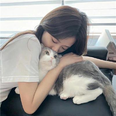 五个朋友2
